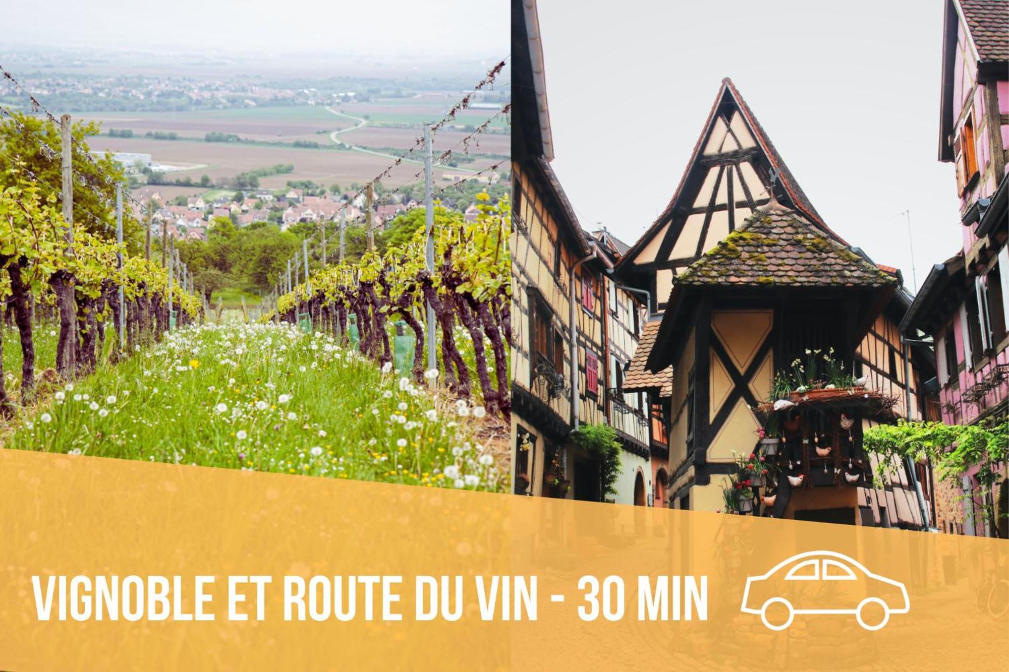 Les Pinots D'Alsace - 3 Bungalows Climatises Avec Tv - Proche Europa Park Boofzheim Bilik gambar