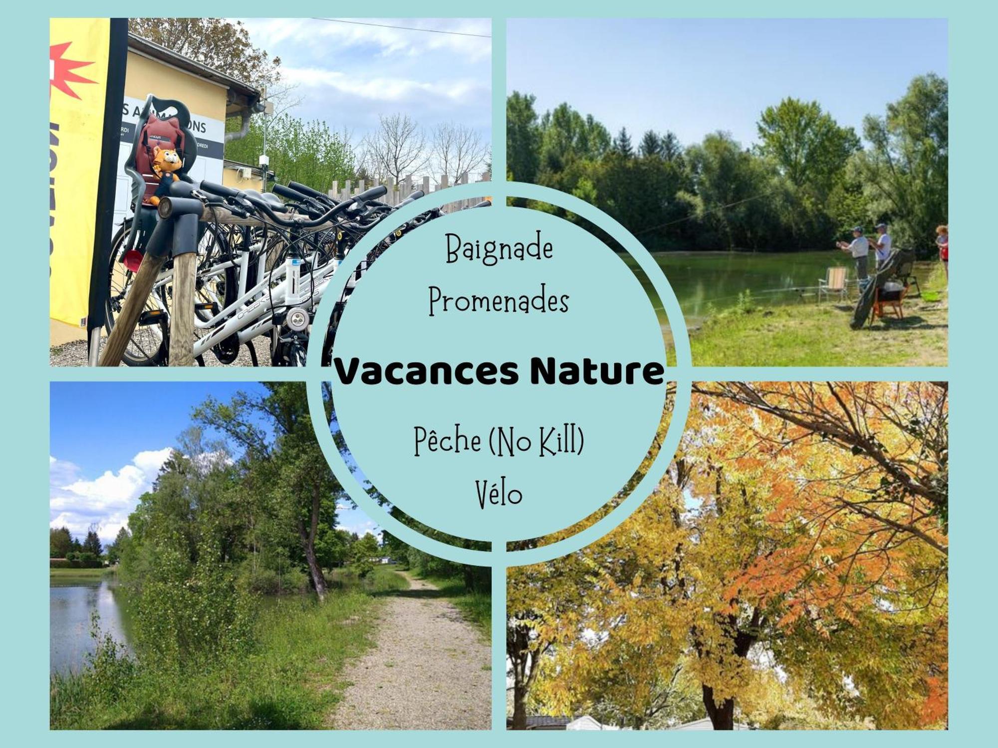Les Pinots D'Alsace - 3 Bungalows Climatises Avec Tv - Proche Europa Park Boofzheim Luaran gambar